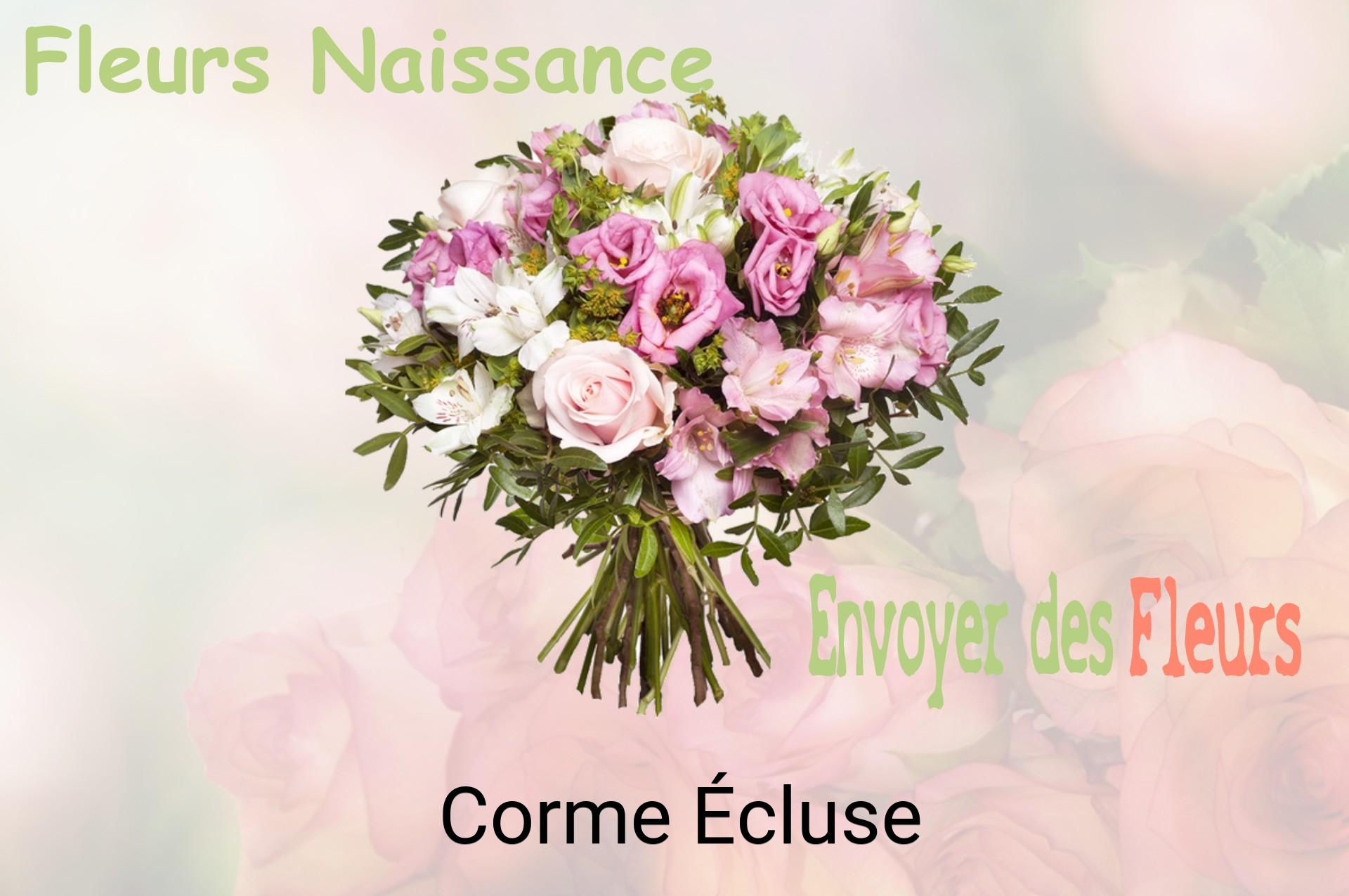 Bouquet de fleurs de naissance livré à Corme-Écluse